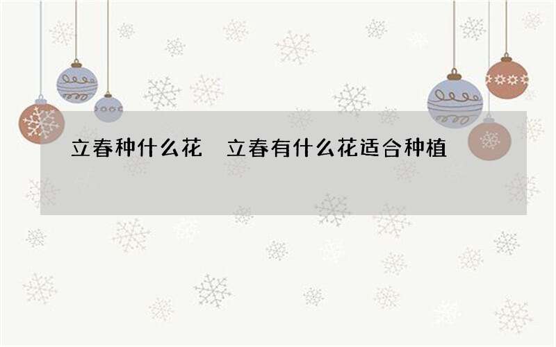 立春种什么花 立春有什么花适合种植